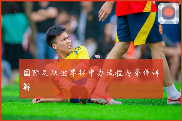 国际足联世界杯申办流程与条件详解