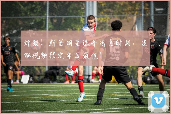 炸裂！新晋明星选手高光时刻，集锦视频预定年度最佳！