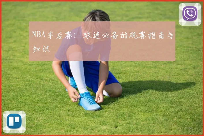 NBA季后赛：球迷必备的观赛指南与知识